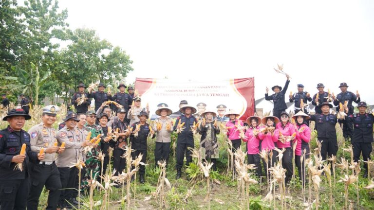 WhatsApp Image 2025-02-03 at 17.36.33_d619f8c8