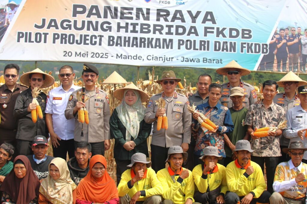 IMG-20250520-WA0011