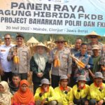IMG-20250520-WA0011