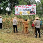 IMG-20250602-WA0031(1)