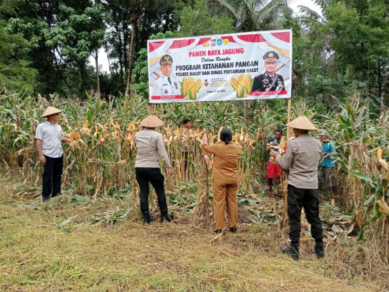 IMG-20250602-WA0031(1)