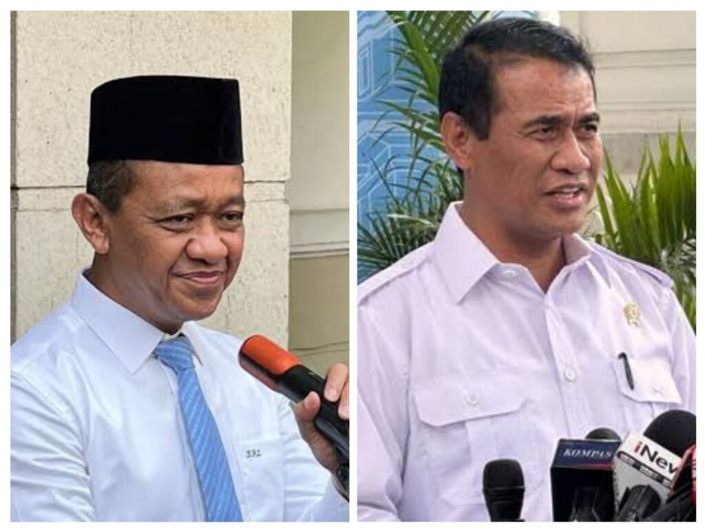 20251121_133406-COLLAGE-scaled