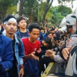 WhatsApp Image 2025-11-12 at 17.45.16